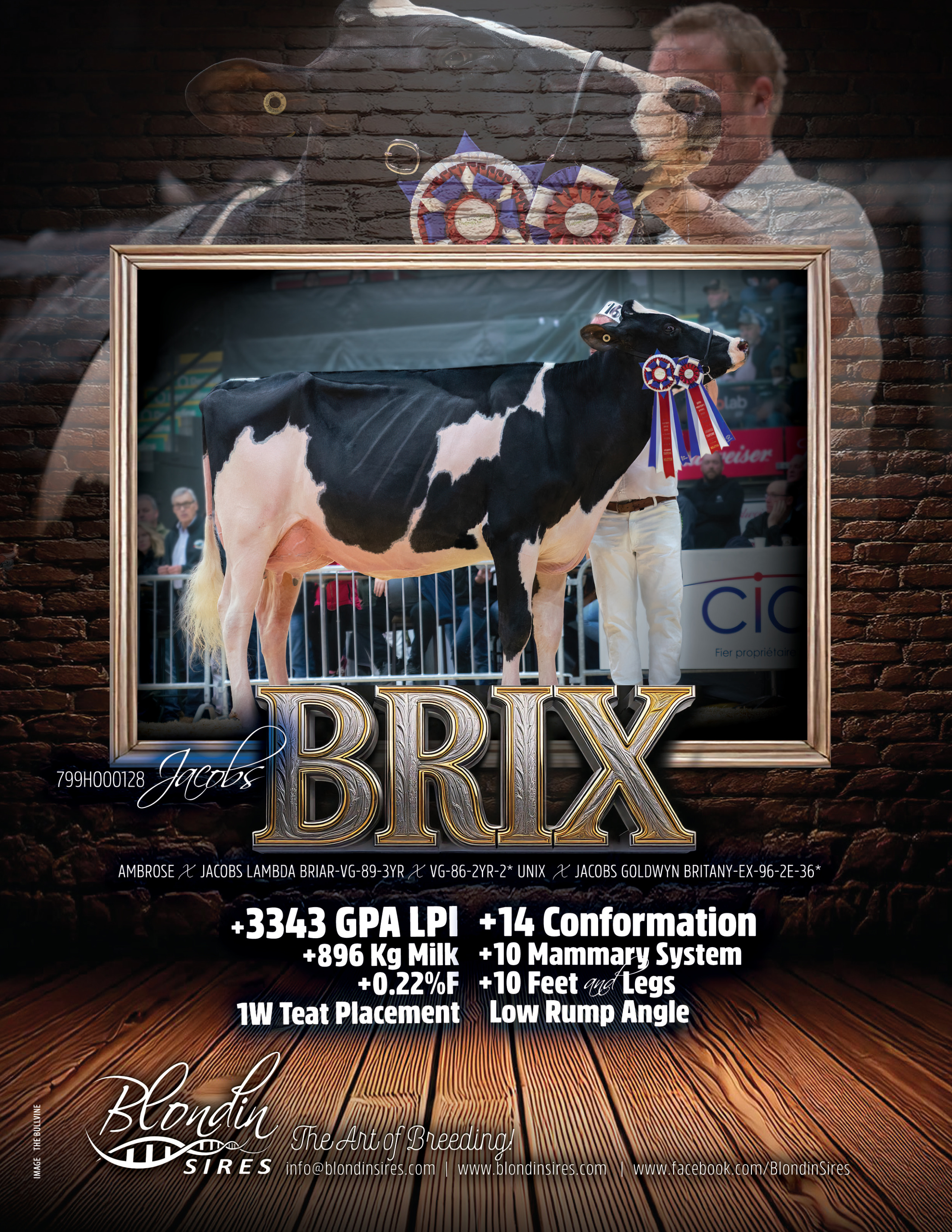 BRIX — 799HO00128